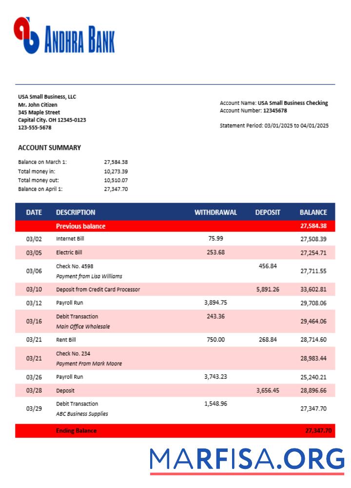 Printable Andhra business bank statement Word and PDF format sample